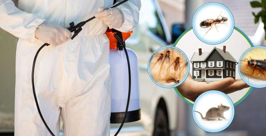 Gölhisar Böcek İlaçlama