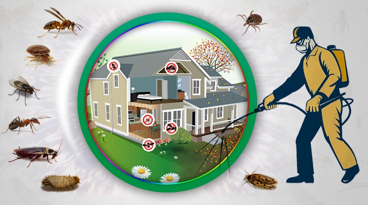 Gölhisar Böcek İlaçlama