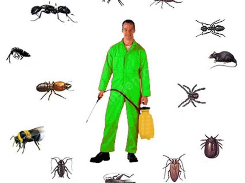 Gölhisar Böcek İlaçlama